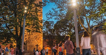 Piata Cetatii Baia Mare