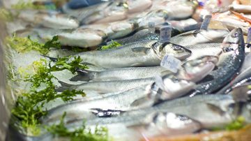 Beneficiile peștelui