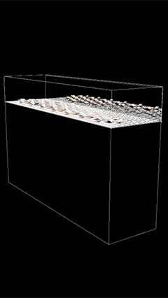 O imagine transparentă a posibilităţilor afişajului OLED