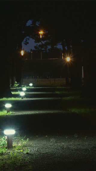 Alee din Campusul High Tech iluminată cu sisteme de iluminat pentru exterior de la Philips care sporesc siguranţa pe timpul nopţii