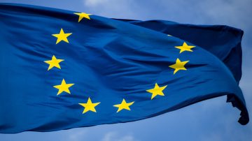 Un copac lângă o clădire de sticlă